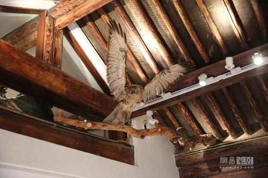 惊艳|李万历：马里奥.贝里尼助阵 携手巧变31㎡胡同房